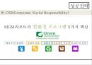 MGM Resort 리조트 경영전략 (MGM Resort) 29페이지