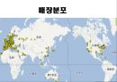 IKEA고객지향 SCM전략 - IKEA고객지향 4페이지