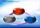LG전자 SCM : LG전자 SCM 물류관리 전략 13페이지