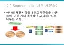 GAP의 브랜드컨셉, STP, SWOT, 4P Mix 분석 10페이지