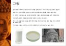 붓다의 생애 18페이지
