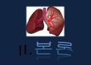 폐렴 / 폐렴 ppt / pneumonia 8페이지