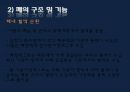 폐렴 / 폐렴 ppt / pneumonia 16페이지