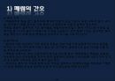 폐렴 / 폐렴 ppt / pneumonia 40페이지