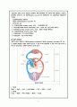 심근경색 / myocardial infarction / 순환기 내과 컨퍼런스 6페이지