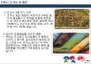 전주의 장소마케팅전략 (전주의 장소마케팅전) 11페이지