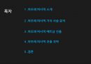 (가치사슬분석) 아모레퍼시픽 AMORE PACIFIC 가치사슬분석과 베트남시장 진출 전략 2페이지
