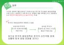재벌의 배당정책 - 재벌 배당정책 31페이지