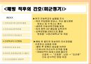 간호사(간호의역사),그것이 알고싶다_해방직후 및 정부수립기의 간호 10페이지