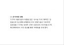 [쿠팡 마케팅전략 PPT] 쿠팡 기업환경과 마케팅 SWOT,STP,4P전략분석및 쿠팡 향후전략제언 9페이지