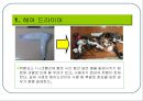 일상생활에 안전이 고려된 사항 3페이지