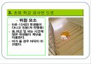 일상생활에 안전이 고려된 사항 13페이지