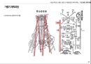 수원성 축조에 사용된 거중기의 적용하중과 역학적 특징 6페이지