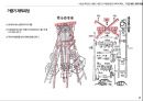 수원성 축조에 사용된 거중기의 적용하중과 역학적 특징 8페이지