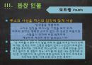 오노레 드 발자크의 고리오영감 분석 11페이지