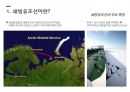 해상운송론 쇄빙유조선 분석 6페이지
