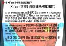 중국지역 서안 시안 Xi'an 조사 분석 58페이지