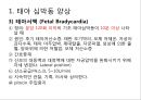 태아심박동 PPT 3페이지