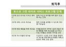 [포스코의 인적자원관] 포스코의 인적자원관리 현황 - 구글인적자원관리와 비교 18페이지