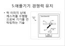 글로벌 IT기업의 특허전략 (글로벌 IT기업의 특허전략) 30페이지