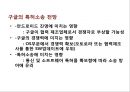 글로벌 IT기업의 특허전략 (글로벌 IT기업의 특허전략) 43페이지