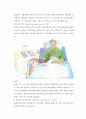 체외막 산소공급과 심실보조장치(Extracorporeal Membrane Oxygenation and Ventricular Assist Device) 7페이지