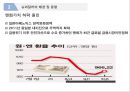 (슈퍼달러의 시대) 슈퍼달러의 시대 9페이지