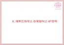 [에뛰드하우스 마케팅사례PPT] 에뛰드하우스 브랜드분석과 마케팅 SWOT,STP,4P,기타마케팅활동 분석과 에뛰드하우스 향후시사점연구 15페이지