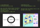 (화물운송 정보시스템) 화물운송 정보시스템 9페이지