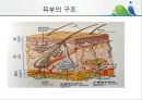 [상처관리-욕창, 수] 상처관리-욕창,  수술창상,  화상 5페이지