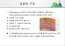 [상처관리-욕창, 수] 상처관리-욕창,  수술창상,  화상 6페이지