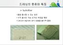 [상처관리-욕창, 수] 상처관리-욕창,  수술창상,  화상 23페이지
