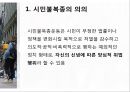 시민불복종운동과 그 의의 (시민운동) 11페이지