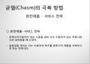 첨단기술 마케팅의 이해 High-Tech Marketing (첨단기술 마케팅의 이해) 37페이지