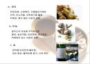 (식품의 성미.궁합.) (식품의 성미.궁합.) 식품의 성미.궁합.금기식품 [식품의 성미.궁합.] 4페이지