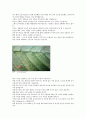 GWP ODP에 관한 논문 일고 느낀점 열역학 6페이지