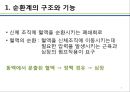 (순환계) 순환계와 운동의 이해 3페이지
