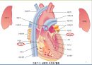 (순환계) 순환계와 운동의 이해 8페이지
