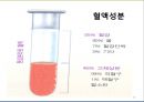 (순환계) 순환계와 운동의 이해 17페이지