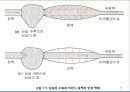 (순환계) 순환계와 운동의 이해 20페이지