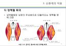 (순환계) 순환계와 운동의 이해 31페이지