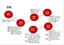 금호아시아나의 경영 : 금호아시아나의 경영위기 상황과 극복전략 7페이지