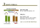 금호아시아나의 경영 : 금호아시아나의 경영위기 상황과 극복전략 23페이지