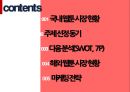다음웹툰 일본 진출 마케팅 전략 [다음웹툰 일본 진출] 2페이지
