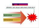 (후진국의 공업화와 ) 후진국의 공업화와 재벌의 등장 17페이지
