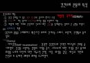 [교육철학 및 교육사] 경건주의와 청교도의 교육 5페이지