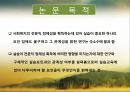 [논문 분석] 실습 경험이 사회복지 전공생의 전문직 정체성에 미치는 영향 4페이지