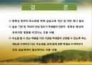 [논문 분석] 실습 경험이 사회복지 전공생의 전문직 정체성에 미치는 영향 20페이지