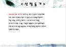 [마케팅원론] 젊은날의 선택 - 박카스 7페이지