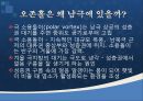 [기후학] 한대기후의 특성 32페이지
